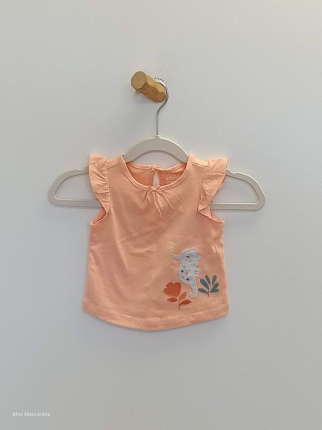 Orange Seahorse Tank
