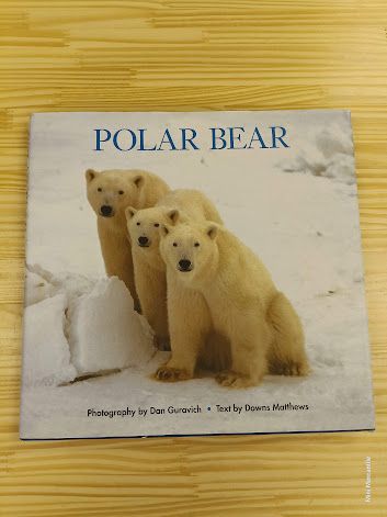 Polar Bear